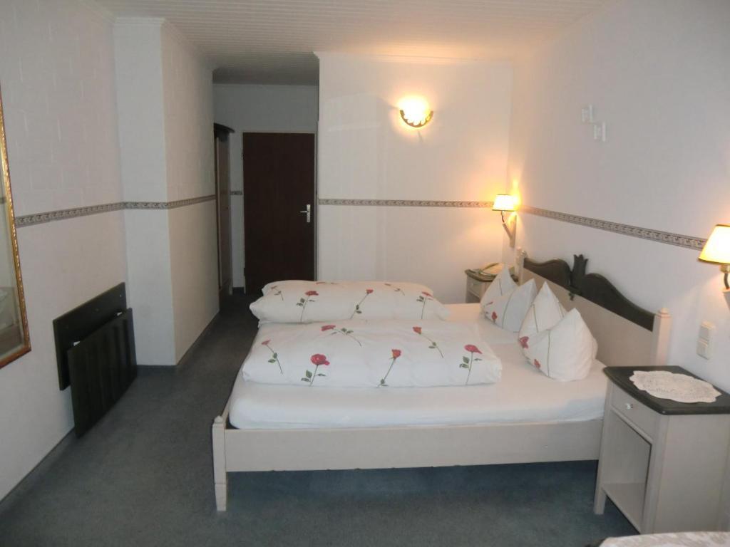 Hotel Schlossgarten Gladenbach 部屋 写真